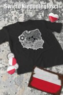 Patriotyczna Koszulka Unisex "Artystyczna Polska" – Wybierz Kolor!