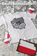 Patriotyczna Koszulka Unisex "Artystyczna Polska" – Wybierz Kolor!
