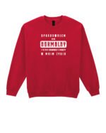 Bluza Sweatshirt <br>Próbowałem być normalny