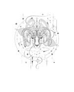 Koszulka Znak Zodiaku Baran Minimalistyczny Styl