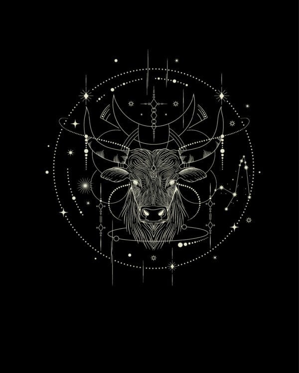 TL1315WH Tshirt Hoodie Sweater SIM19 Bluza bez kaptura <br>Znak Zodiaku Byk Minimalistyczny Styl