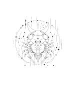 Koszulka Znak Zodiaku Rak Minimalistyczny Styl