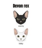 3 Bluza z kapturem Devon Rex Biały <br>Personalizowana Kot Pupil
