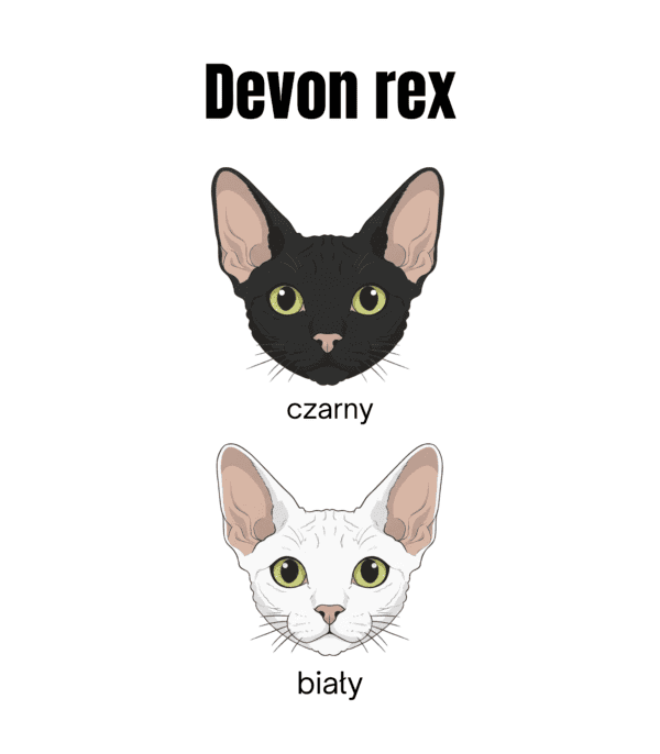 3 Bluza z kapturem Devon Rex Biały <br>Personalizowana Kot Pupil