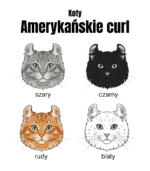 5 Bluza z kapturem Amerykański Curl Rudy <br>Personalizowana Kot