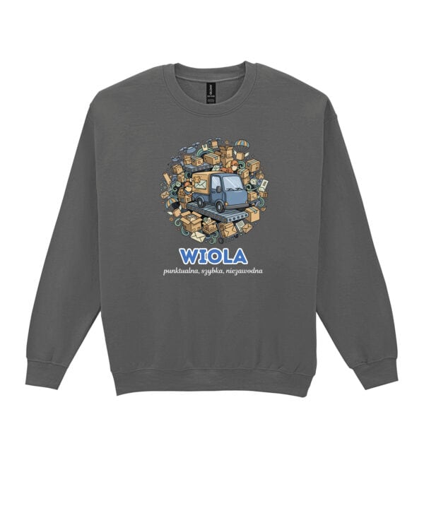 1616 (25) Bluza bez kaptura Kurier <br>Personalizowana Ilustracyjna