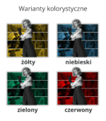 Warianty Kolorystyczne Grace Bluza z kapturem Resident Evil <br>Grace Ashcroft Personalizowana